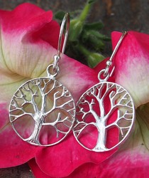 silver earrings no stone